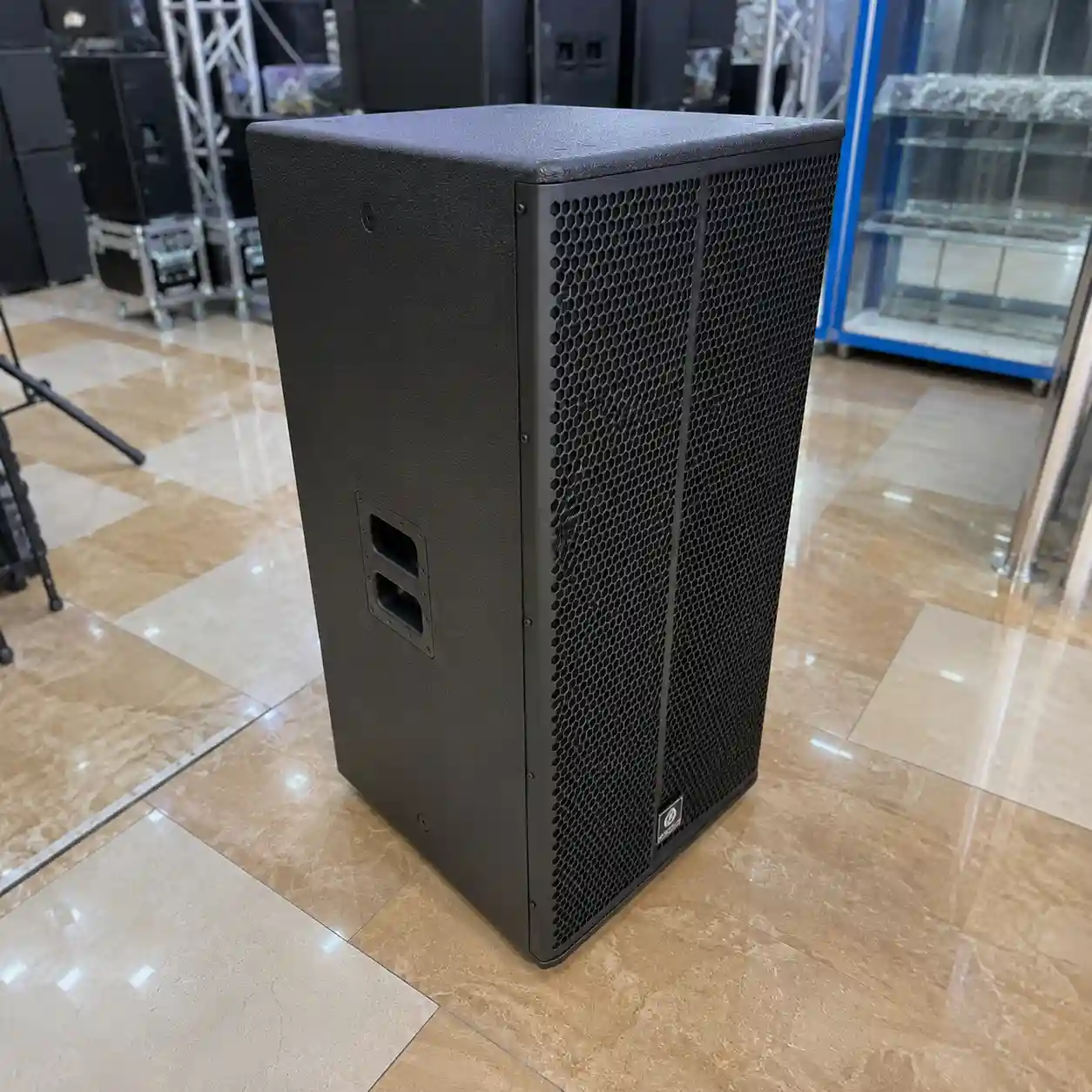 Thunder Sound TS 215 PA speaker