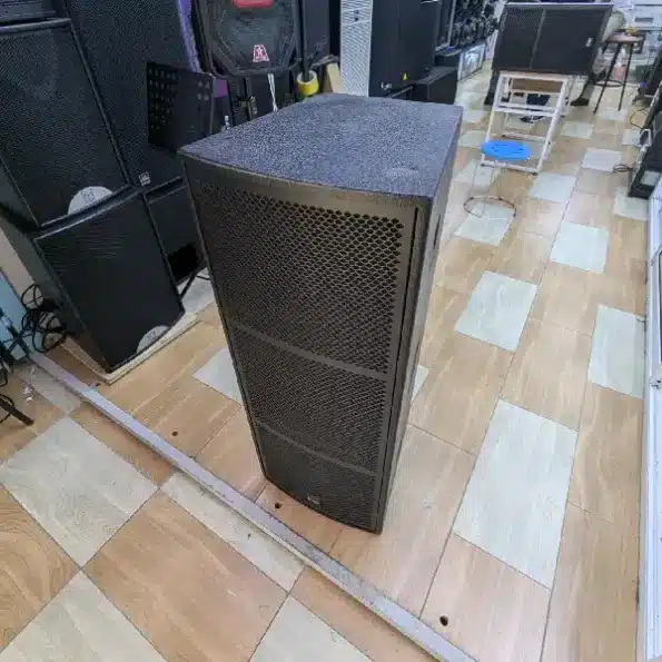 Thunder Sound TS 215 concert speaker