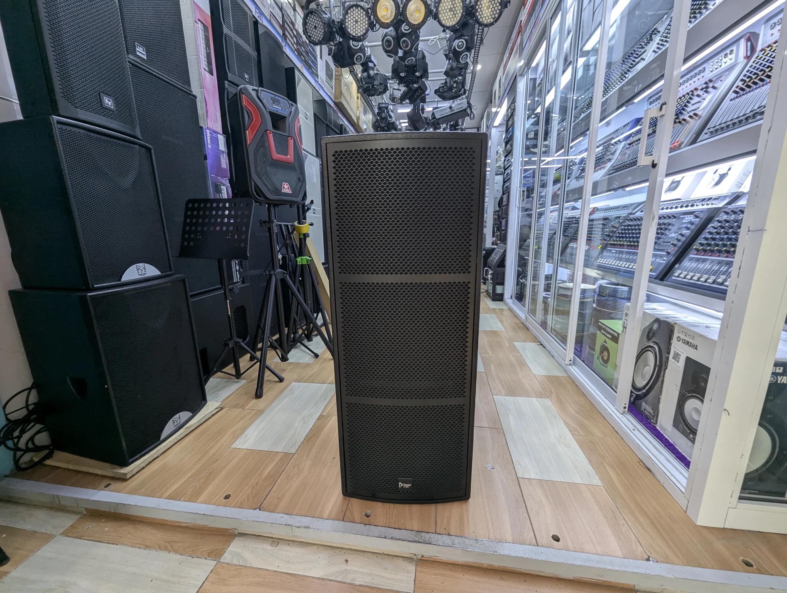 Thunder Sound TS 215 Speaker: Powerful Professional Sound for Every Event Thunder Sound TS 215 loudspeaker