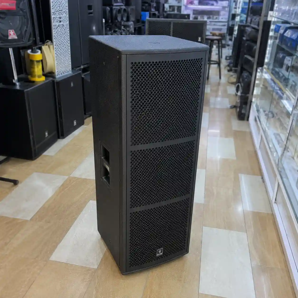 Thunder Sound TS 215 Speaker – Dual 15-Inch Professional PA Speaker for DJs, Churches and Outdoor Events Thunder Sound TS 215 professional speaker
