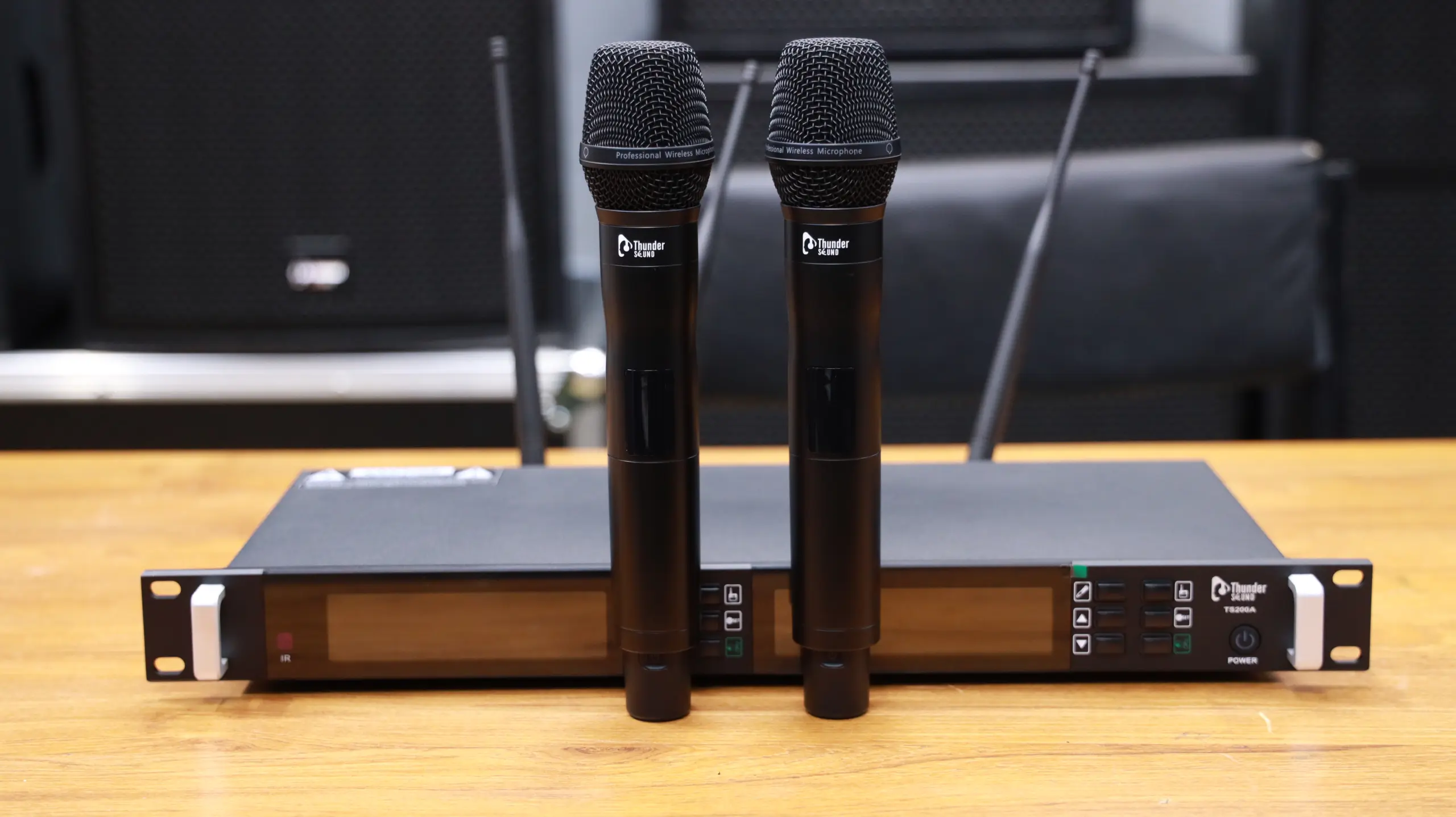 Thunder Sound TS200A Wireless Microphone
