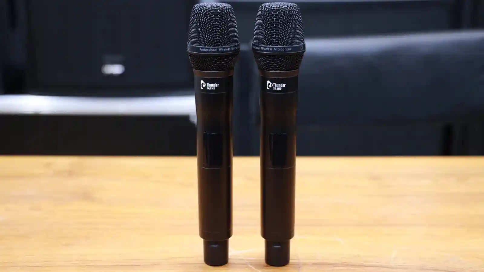 Thunder Sound TS200A wireless microphone