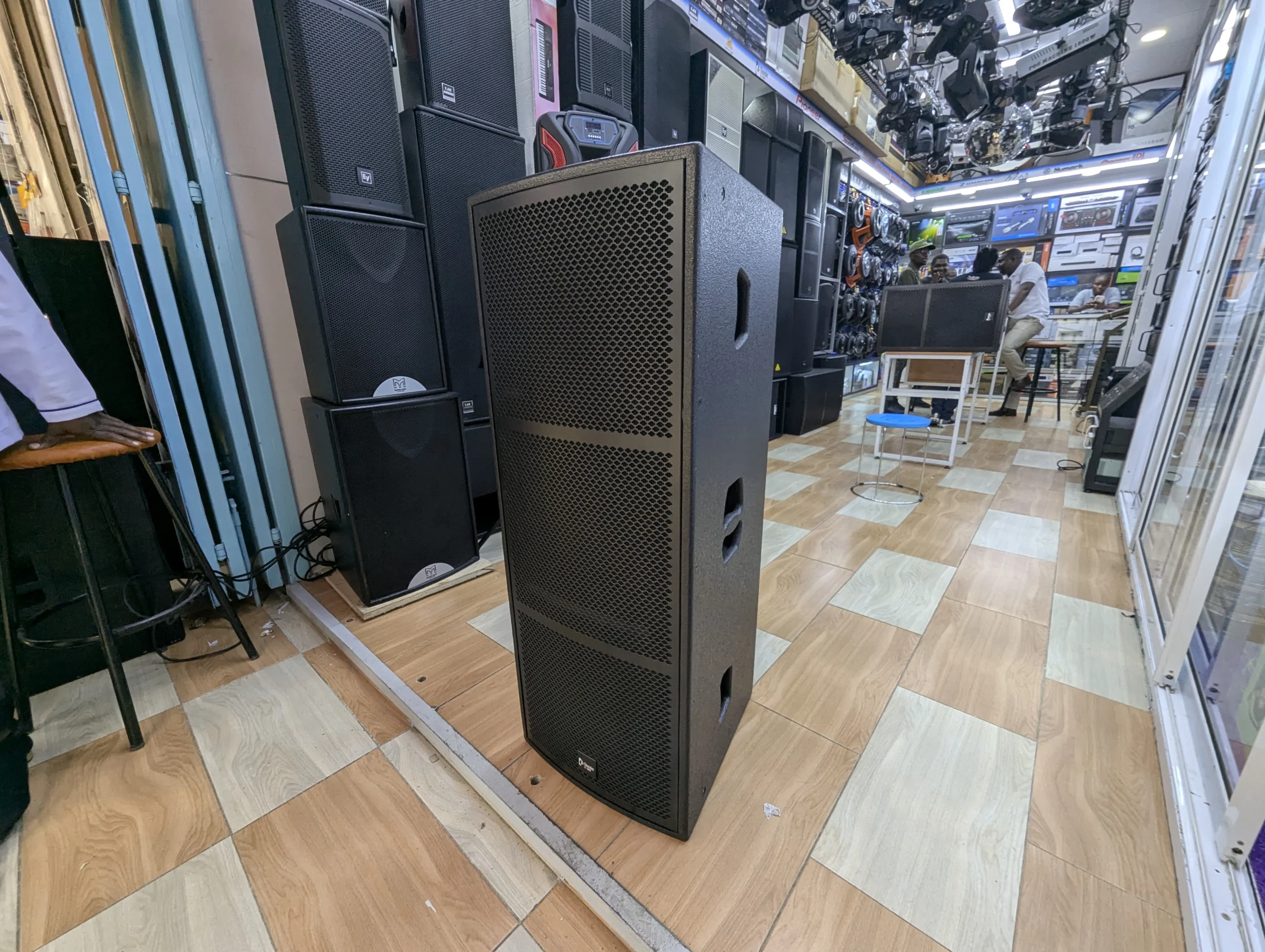 Thunder Sound TS 215 Speaker: Powerful Professional Sound for Every Event Thunder Sound TS215 professional speaker