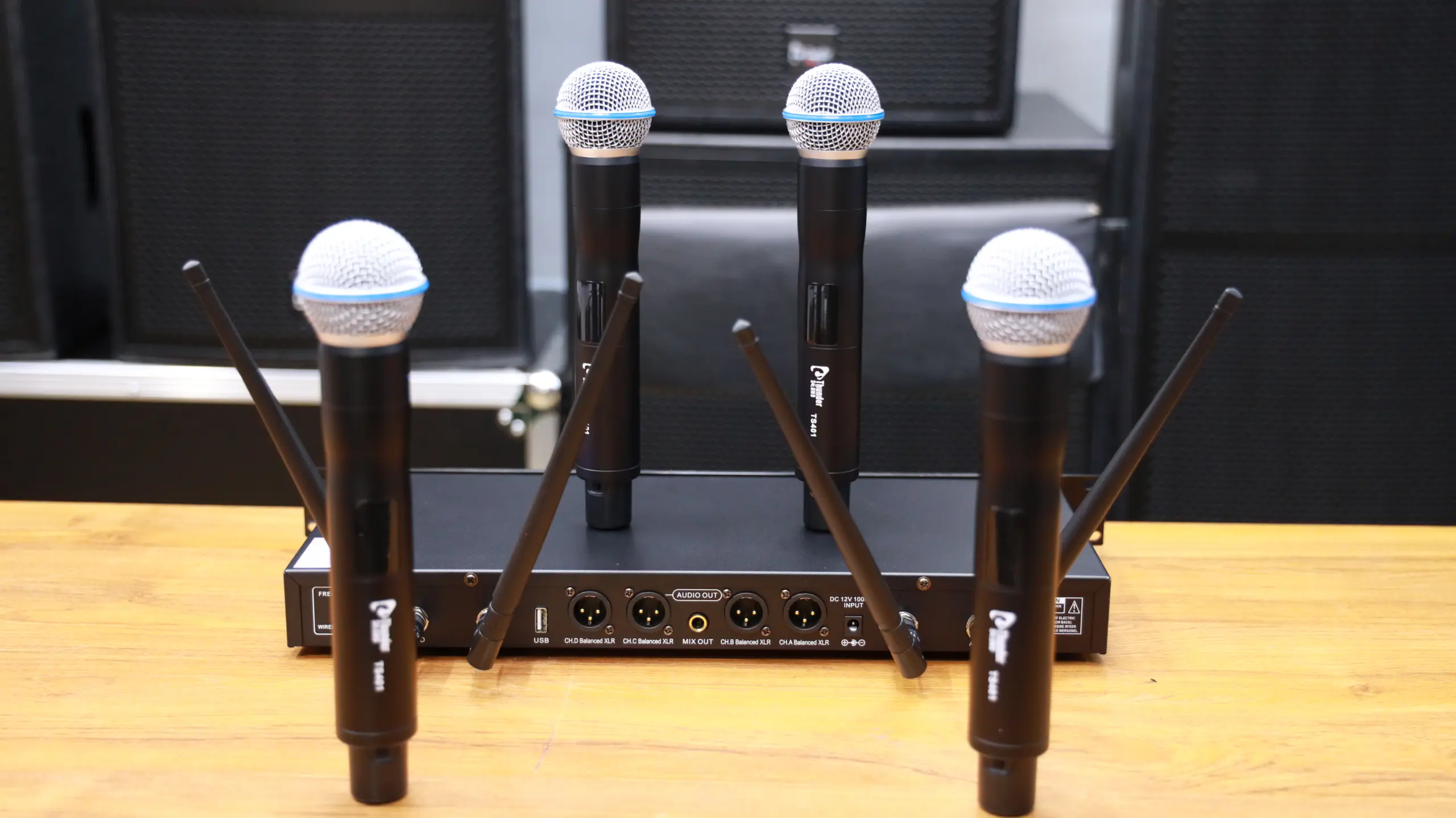 Thunder Sound TS401 Kenya Thunder Sound TS401 Kenya