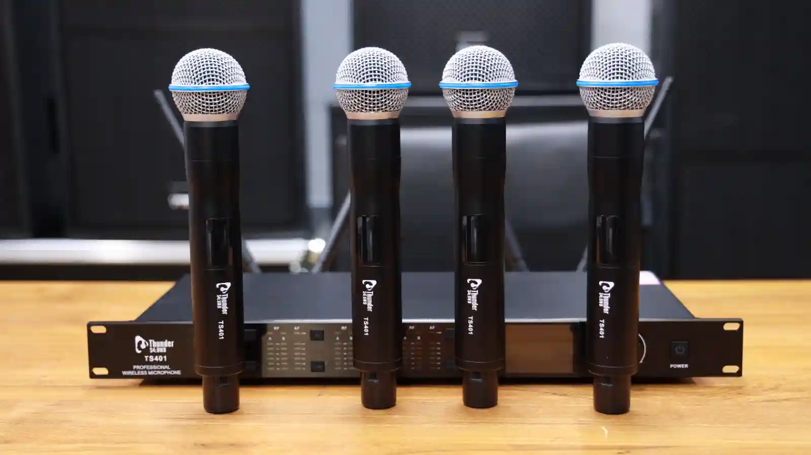Thunder Sound TS401 conference microphone