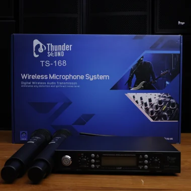 Thunder Sound TS-820DTLP Wireless Microphone System in Kenya