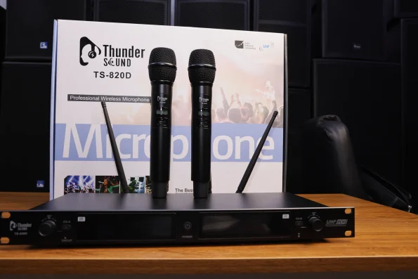 Thunder Sound TS-820D Wireless Microphone