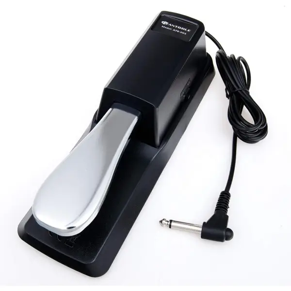 Sustain Pedals In Kenya