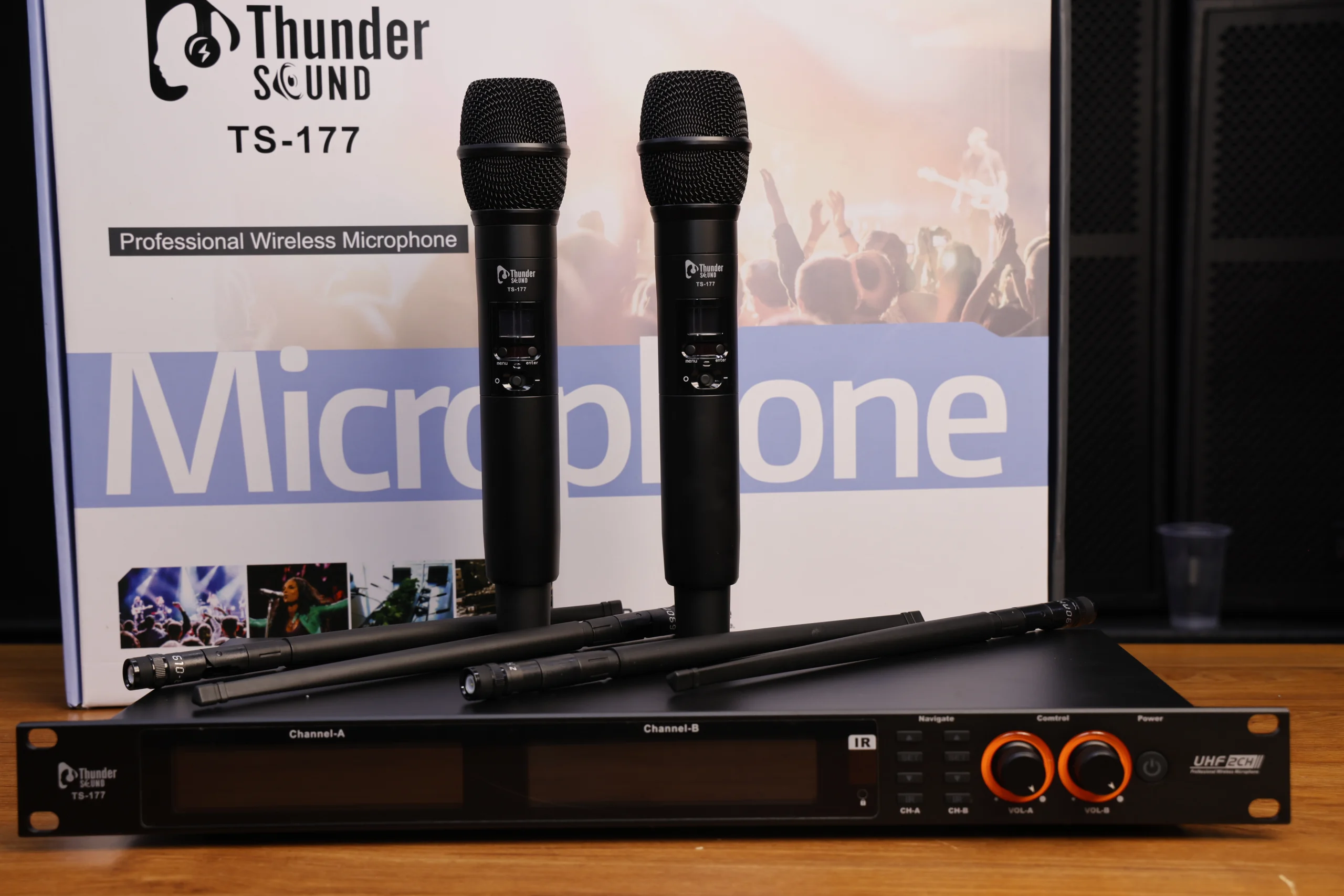 Thunder Sound TS-177 Wireless Microphone System in Kenya Dual wireless microphone system